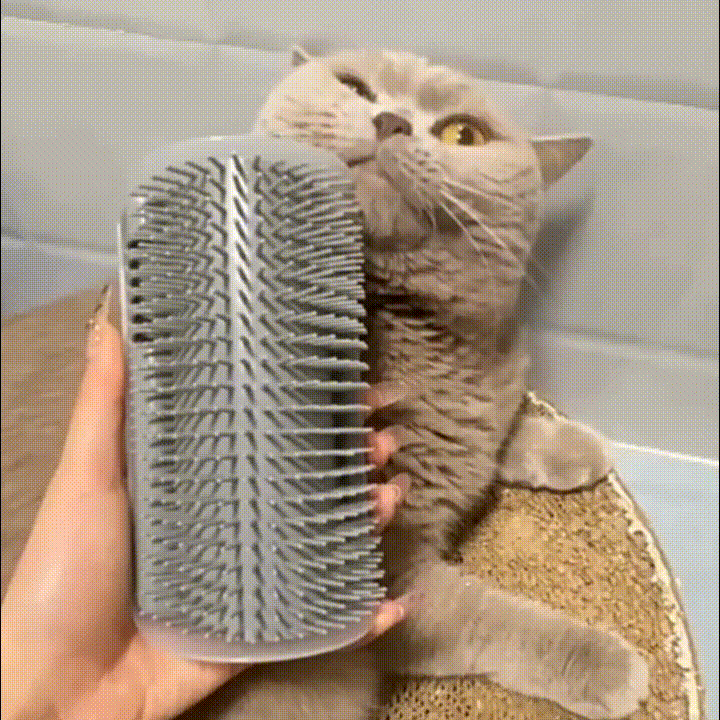 RonronBrush™ – Moins de poils, plus de douceur