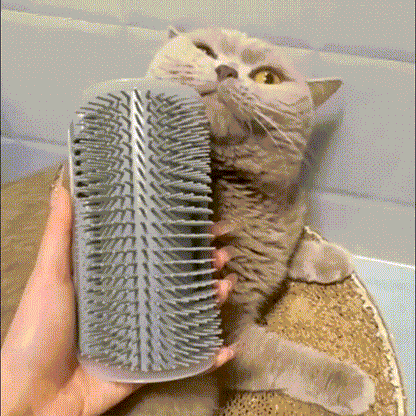 RonronBrush™ – Moins de poils, plus de douceur