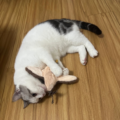 RonronFly™ – Le compagnon qui apaise & occupe votre chat