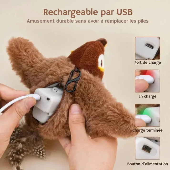 RonronFly™ – Le compagnon qui apaise & occupe votre chat