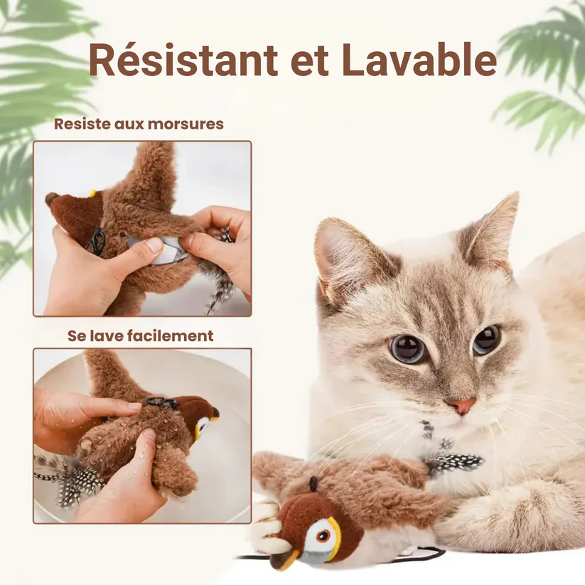 RonronFly™ – Le compagnon qui apaise & occupe votre chat