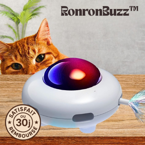 RonronBuzz™ – Le jouet qui réveille l’instinct de votre chat