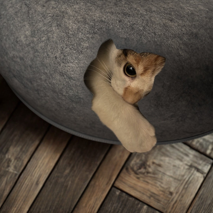 RonronCocon™ — Nid apaisant anti-stress pour chats