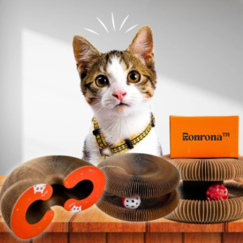 RonronAccordéon™ — Griffoir Modulable