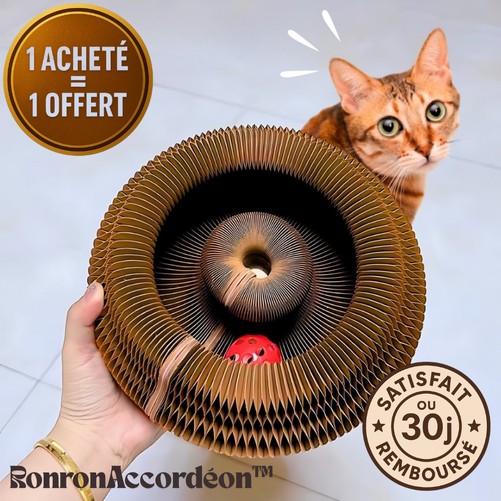 RonronAccordéon™ — Griffoir Modulable