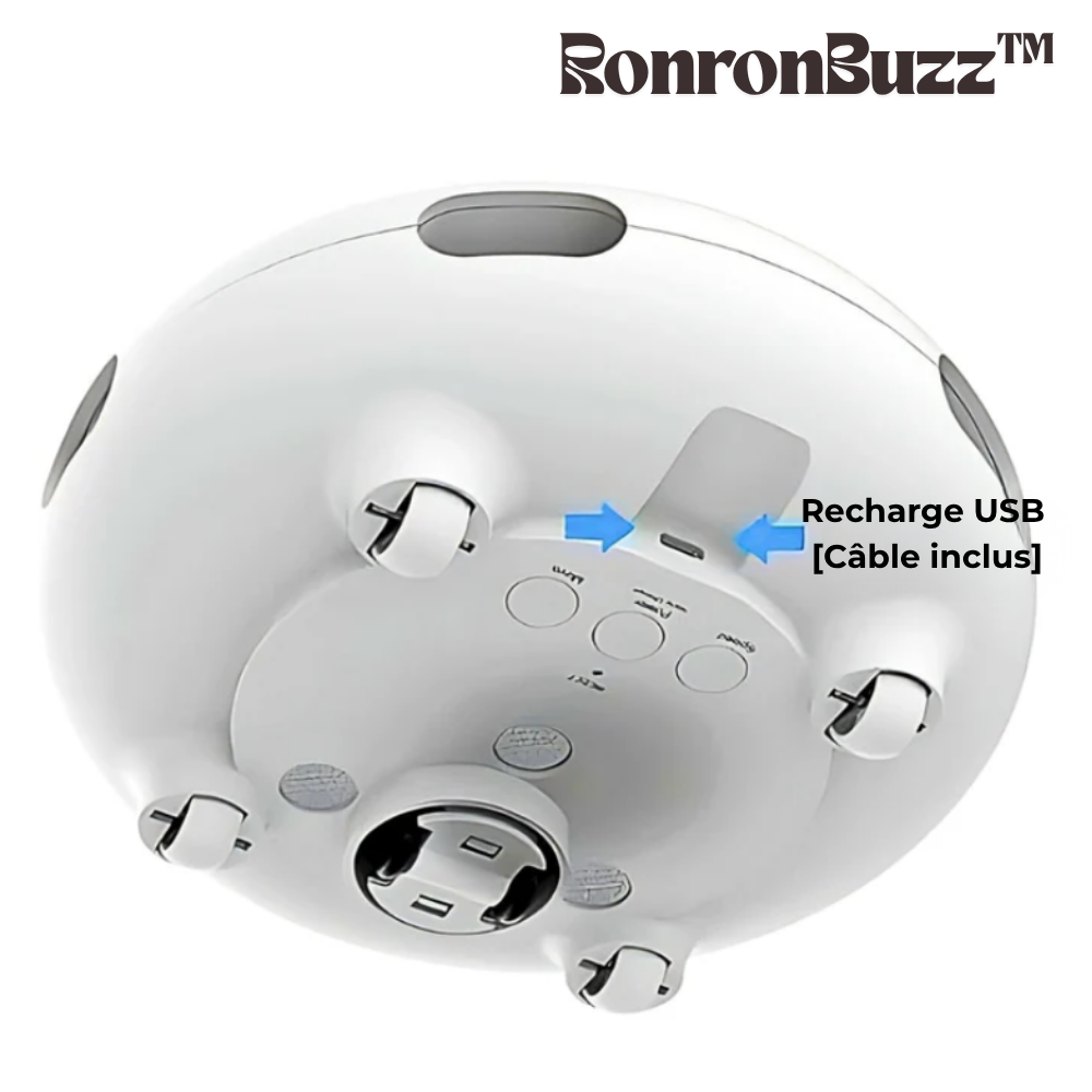 RonronBuzz™ – Le jouet qui réveille l’instinct de votre chat