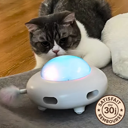 RonronBuzz™ – Le jouet qui réveille l’instinct de votre chat