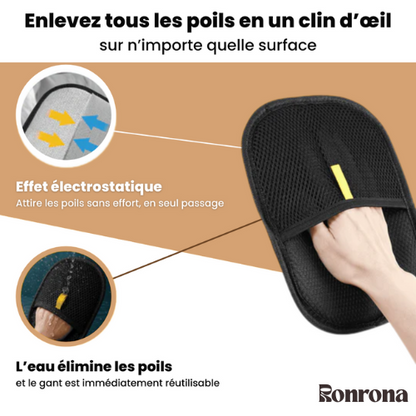 RonronGant™ — Une maison sans poils