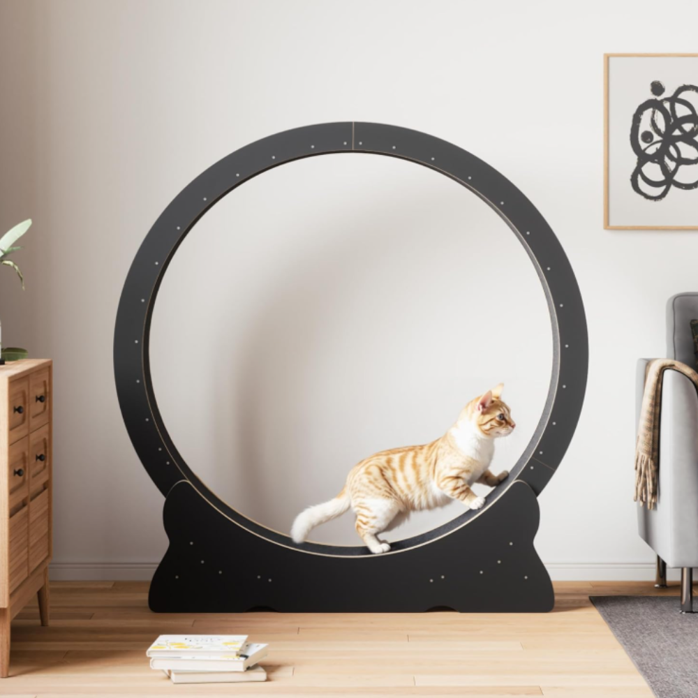 RonronFit™ — Roue d’exercice silencieuse pour chats actifs