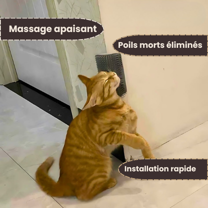 RonronBrush™ – Moins de poils, plus de douceur