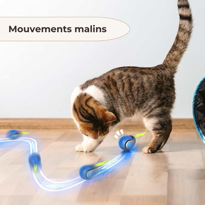 RonronBall™ — Stimulation douce & jeu naturel