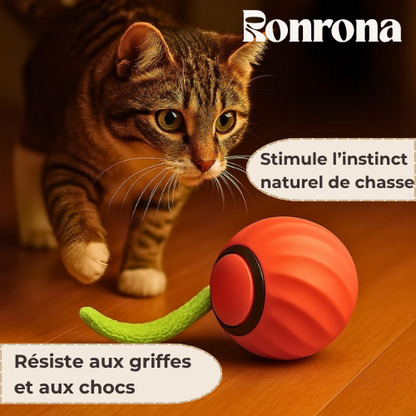 RonronBall™ — Stimulation douce & jeu naturel
