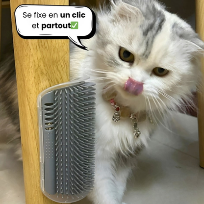 RonronBrush™ – Moins de poils, plus de douceur