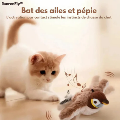 RonronFly™ – Le compagnon qui apaise & occupe votre chat