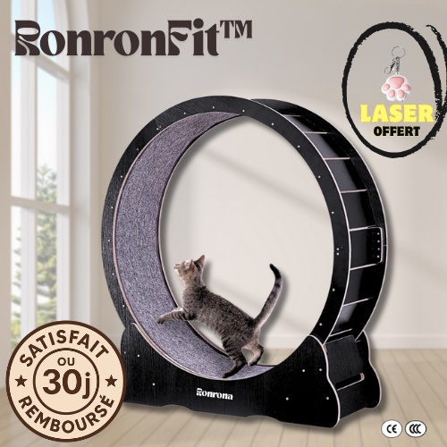 RonronFit™ — Roue d’exercice silencieuse pour chats actifs