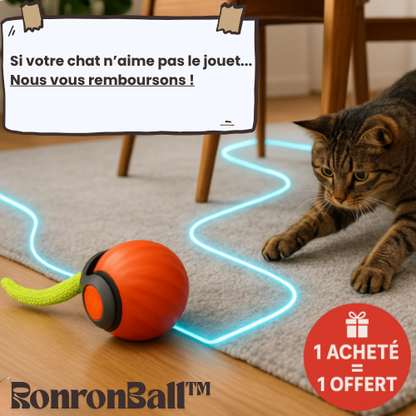 RonronBall™ — Stimulation douce & jeu naturel