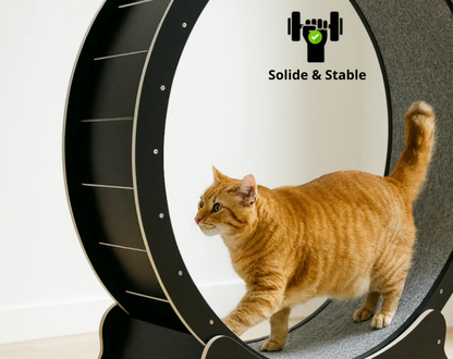 RonronFit™ — Roue d’exercice silencieuse pour chats actifs