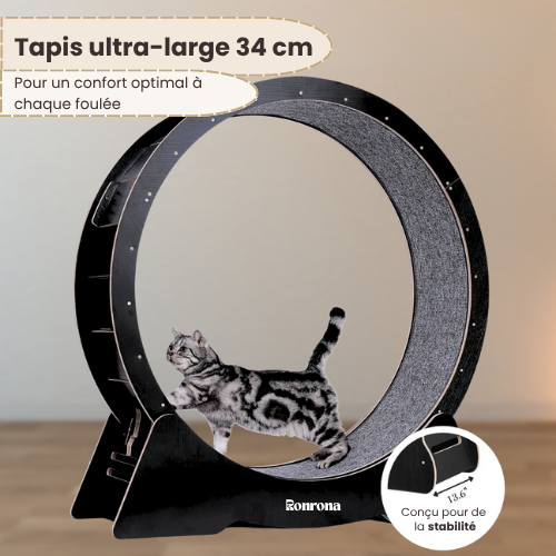 RonronFit™ — Roue d’exercice silencieuse pour chats actifs
