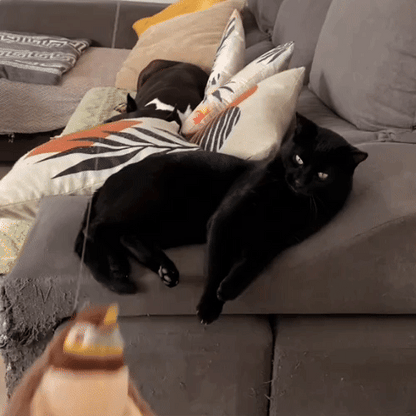 RonronFly™ – Le compagnon qui apaise & occupe votre chat