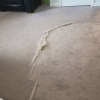 RonronClean™ – Poils retirés sans effort