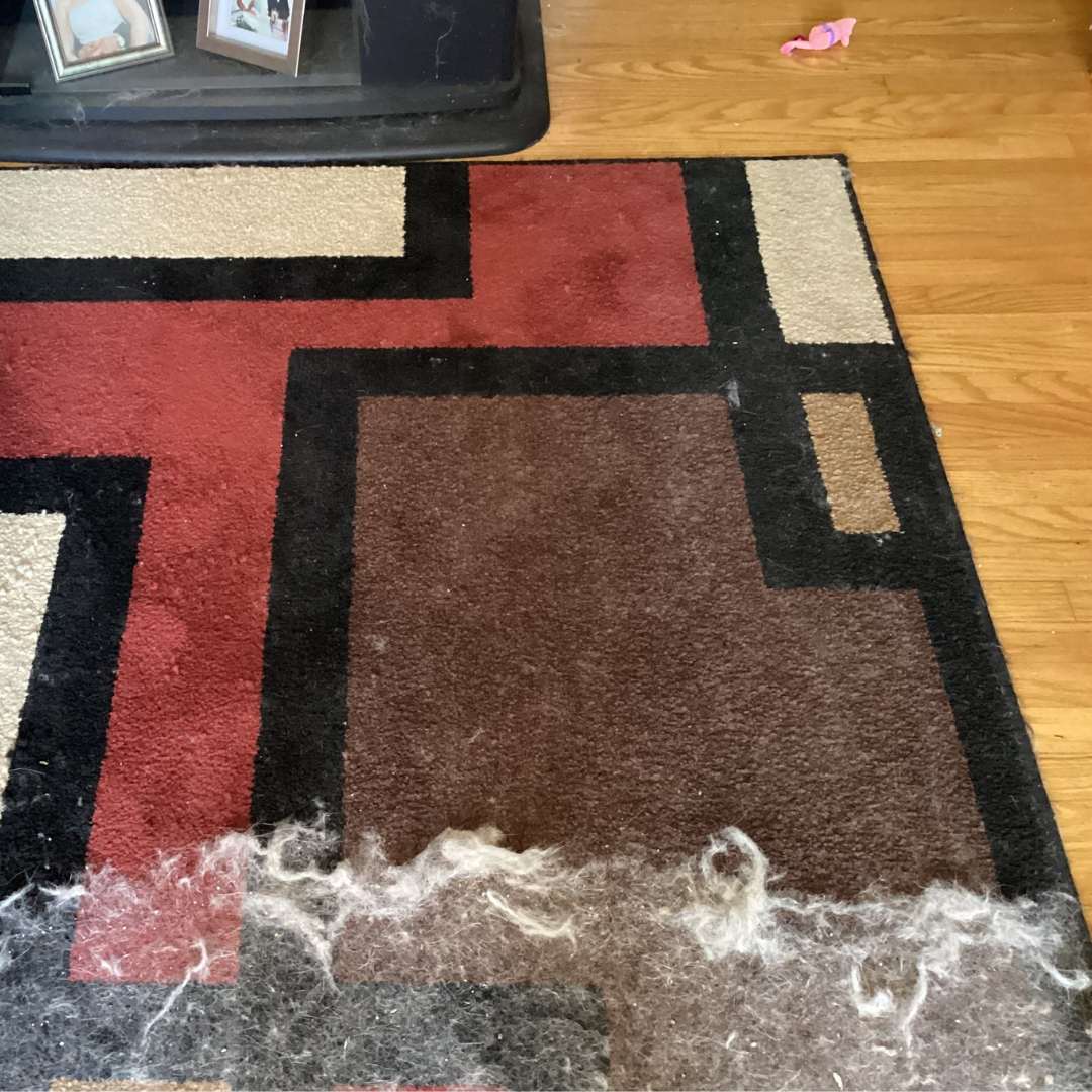 RonronClean™ – Poils retirés sans effort